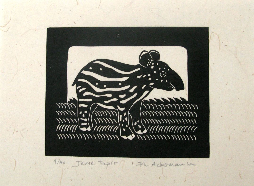 Linogravure figuratif petit format noir Jeune Tapir – PHILIPPE ACHERMANN – 18 × 24 cm