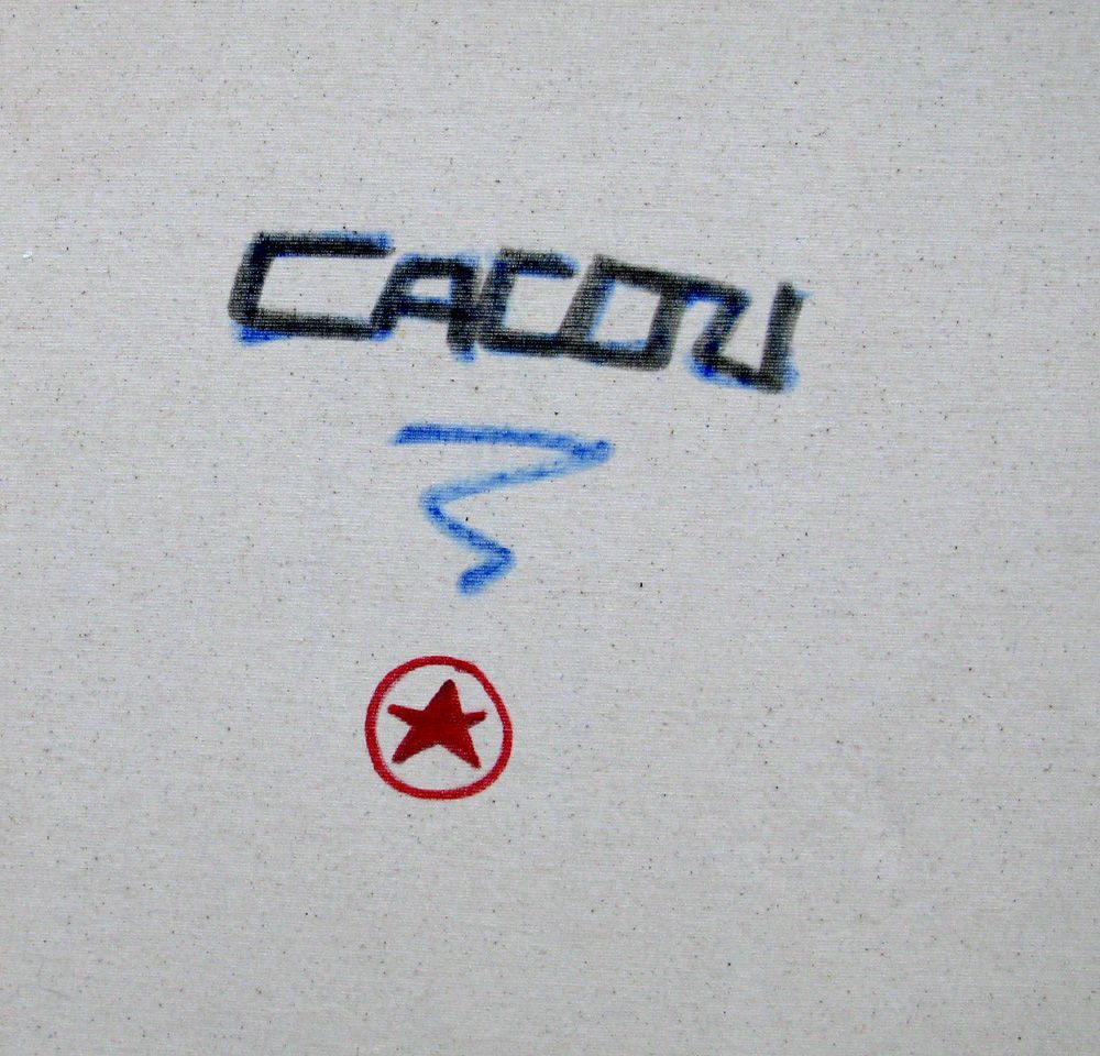Tableau de CACOU a pour titre Mademoiselle Pop style graphique dim : CACOUprix:850