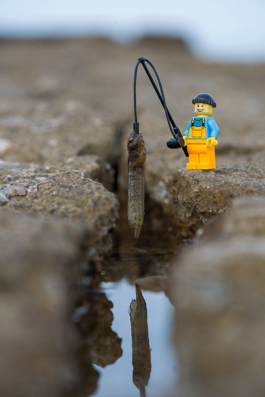 Photographie figuratif petit format MASTERPIECE – SAMSOFY – 36 × 24 cm