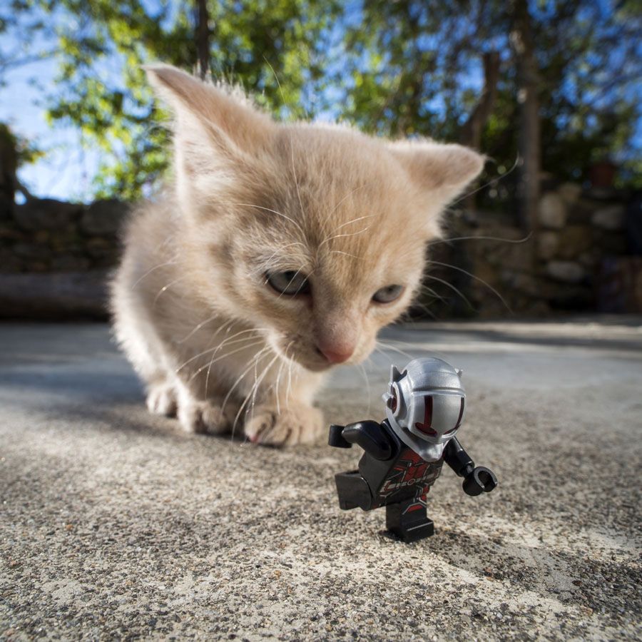 Photographie graphique petit format ANTMAN ESCAPE – SAMSOFY – 30 × 30 cm