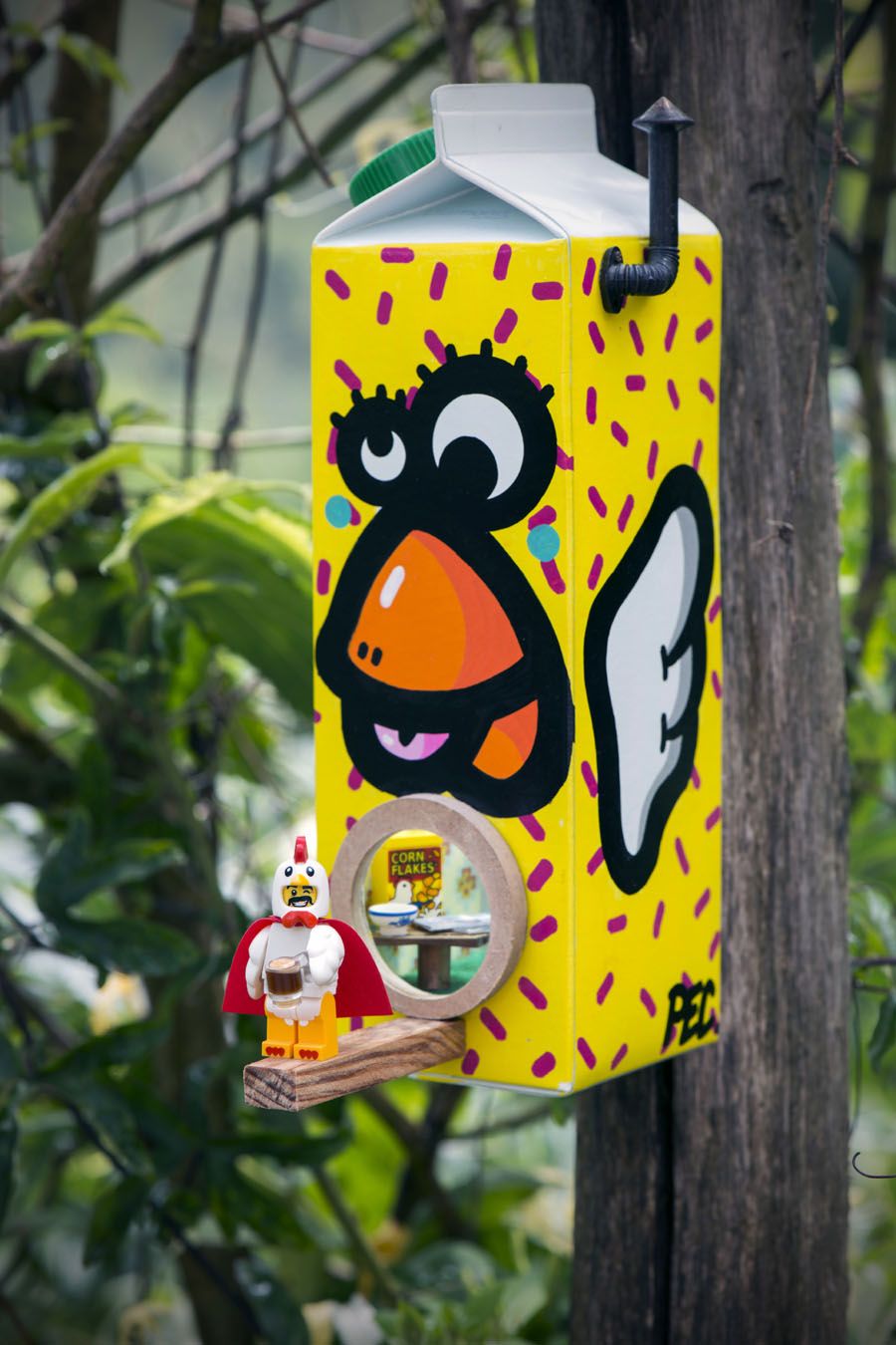 Photographie graphique petit format SUPERWINGS – SAMSOFY – 36 × 24 cm