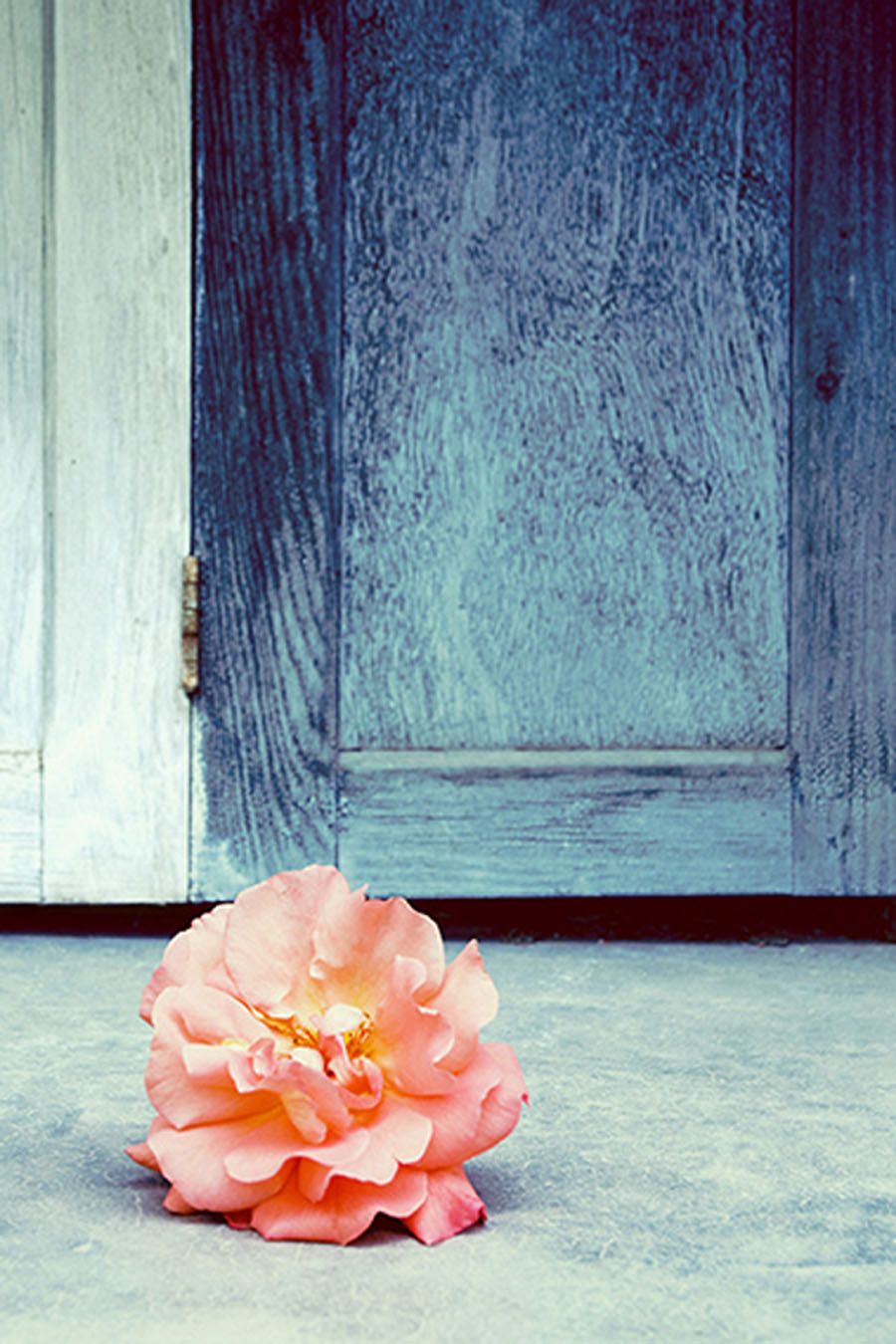 Photographie petit format SANS TITRE 20 – AURELIE SARRAMON – 36 × 24 cm