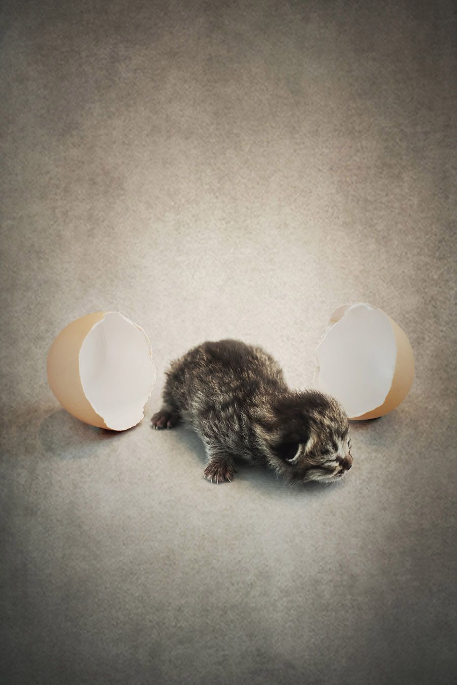 Photographie petit format SANS TITRE 5 – AURELIE SARRAMON – 36 × 24 cm