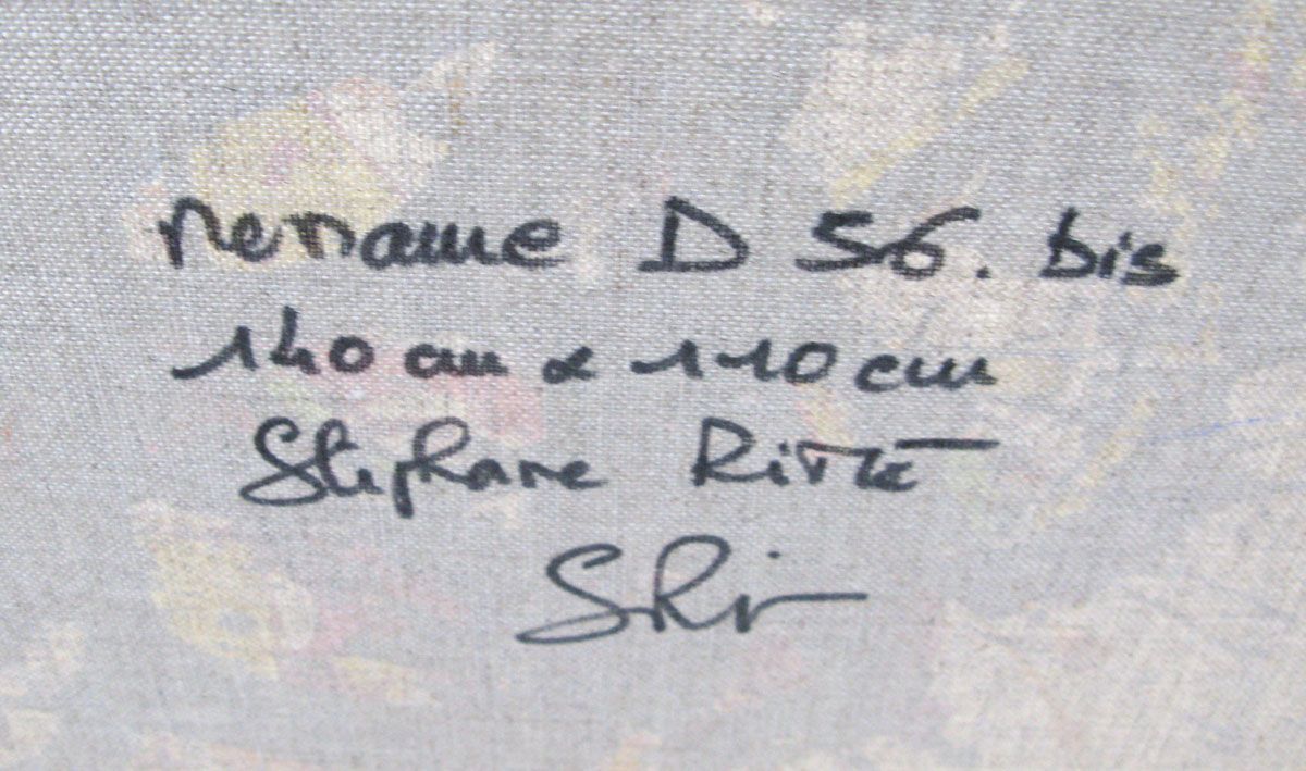 Tableau de STEPHANE RIME a pour titre NONAME D56 BIS style abstrait dim : STEPHANE RIMEprix:1350