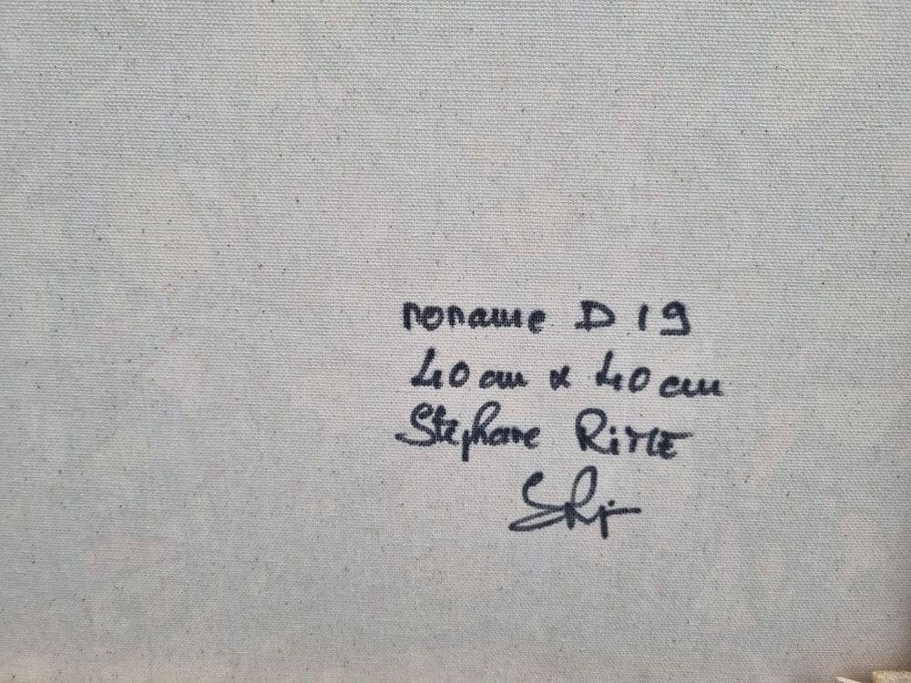 Tableau de STEPHANE RIME a pour titre NONAME D19 style abstrait dim : STEPHANE RIMEprix:190