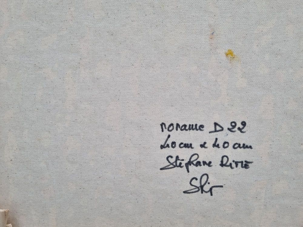 Tableau de STEPHANE RIME a pour titre NONAME D22 style abstrait dim : STEPHANE RIMEprix:190