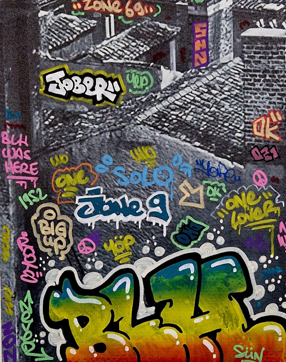 Tableau de BLACH a pour titre Doisneau, les toits de Lyon style graffiti, street art dim : BLACHprix:320