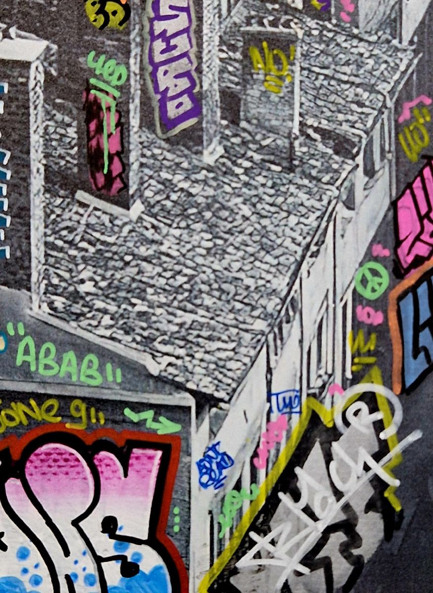 Tableau de BLACH a pour titre Doisneau, les toits de Lyon style graffiti, street art dim : BLACHprix:320