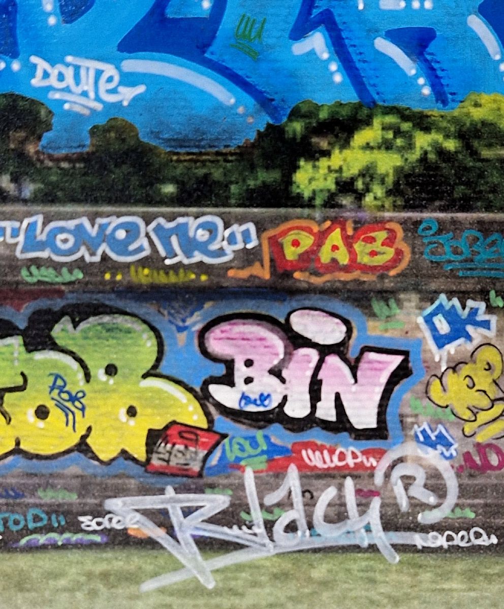 Tableau de BLACH a pour titre Lyon Feat Carotte style graffiti, street art dim : BLACHprix:500