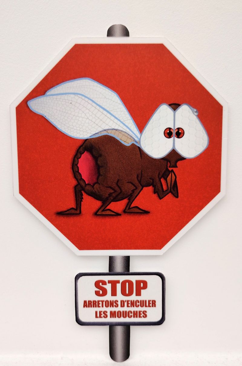 Tableau de L'ARTISTE PITRE a pour titre  Stop arretons  d'******* les mouches style figuratif, graphique dim : L'ARTISTE PITREprix:40