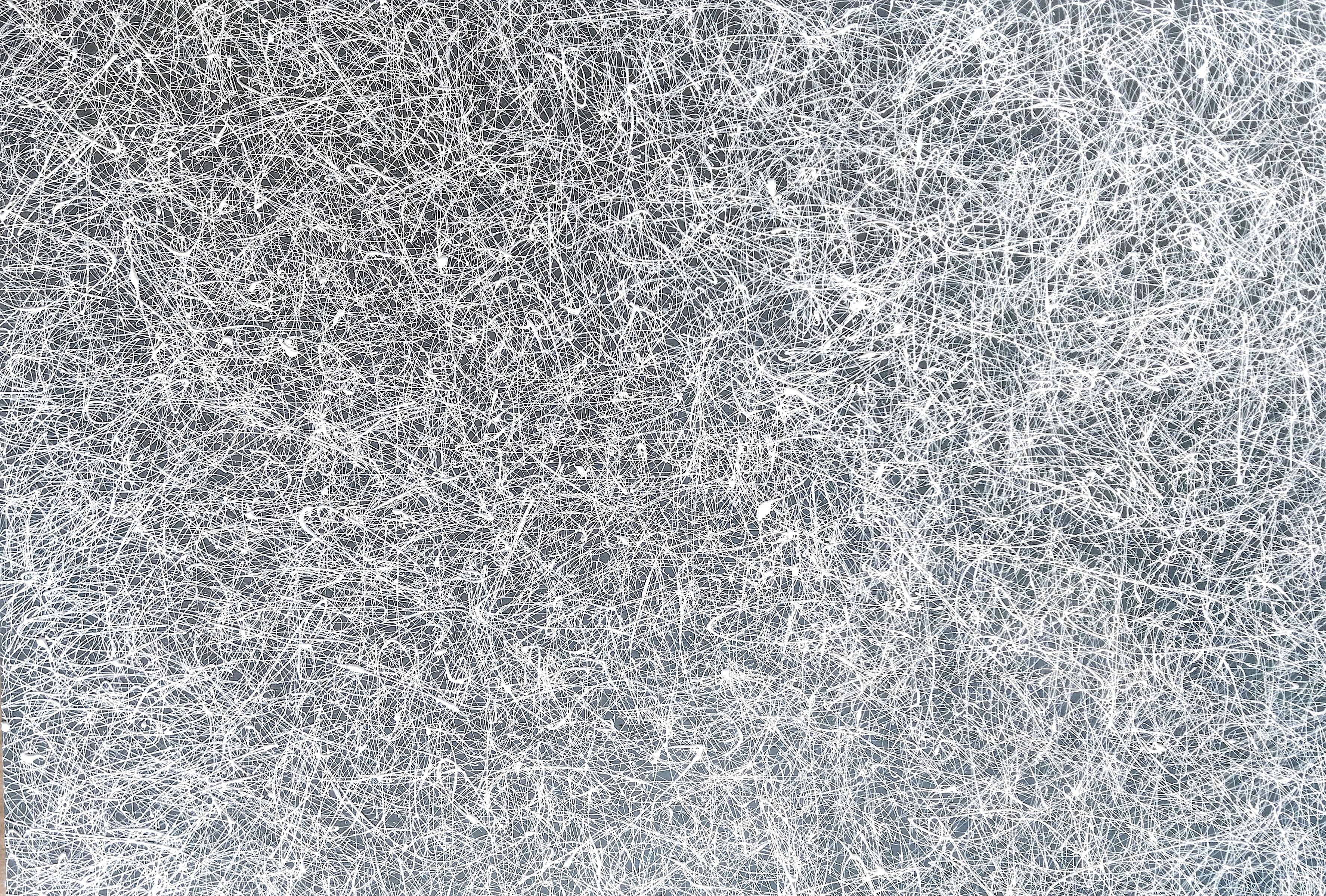 Tableau de NASH a pour titre  Surf style abstrait dim : NASHprix:2400