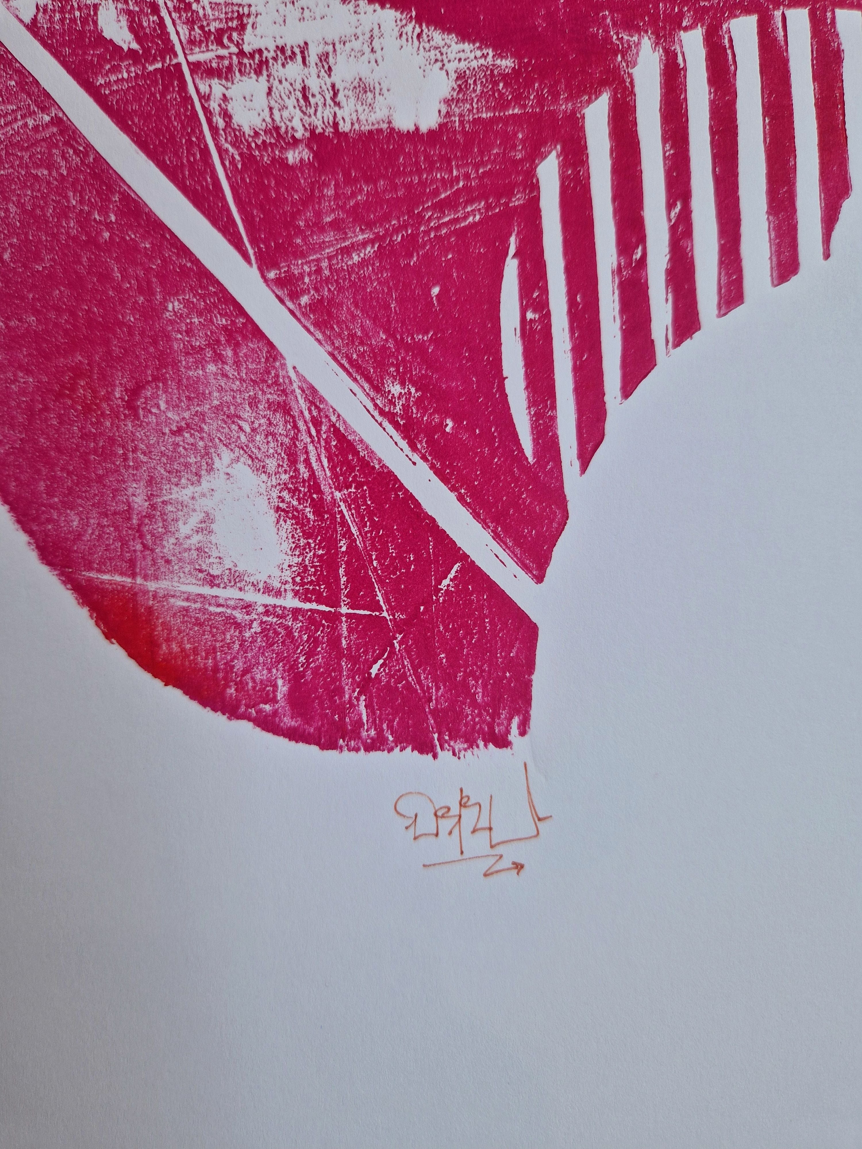 Editions d'art de OSRU a pour titre  SKATE/OISEAUX GRAPHIQUE ROUGE style no dim : OSRUprix:70