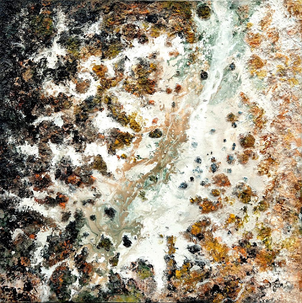 Tableau de Philippe Boliviera a pour titre  Atacama III style abstrait dim : Philippe Bolivieraprix:550