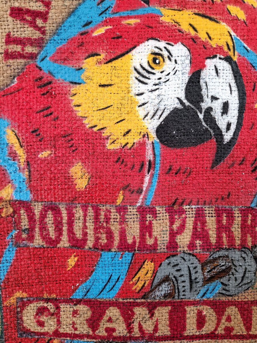 Tableau de MOSKO a pour titre  Double parrot style street art dim : MOSKOprix:1600