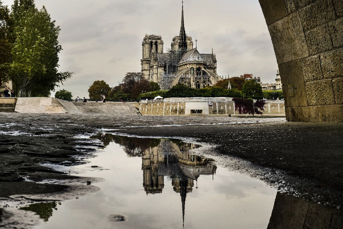 Photo de DOV ADJEDJ a pour titre  REFLEXION FAITE style figuratif dim : DOV ADJEDJprix:60