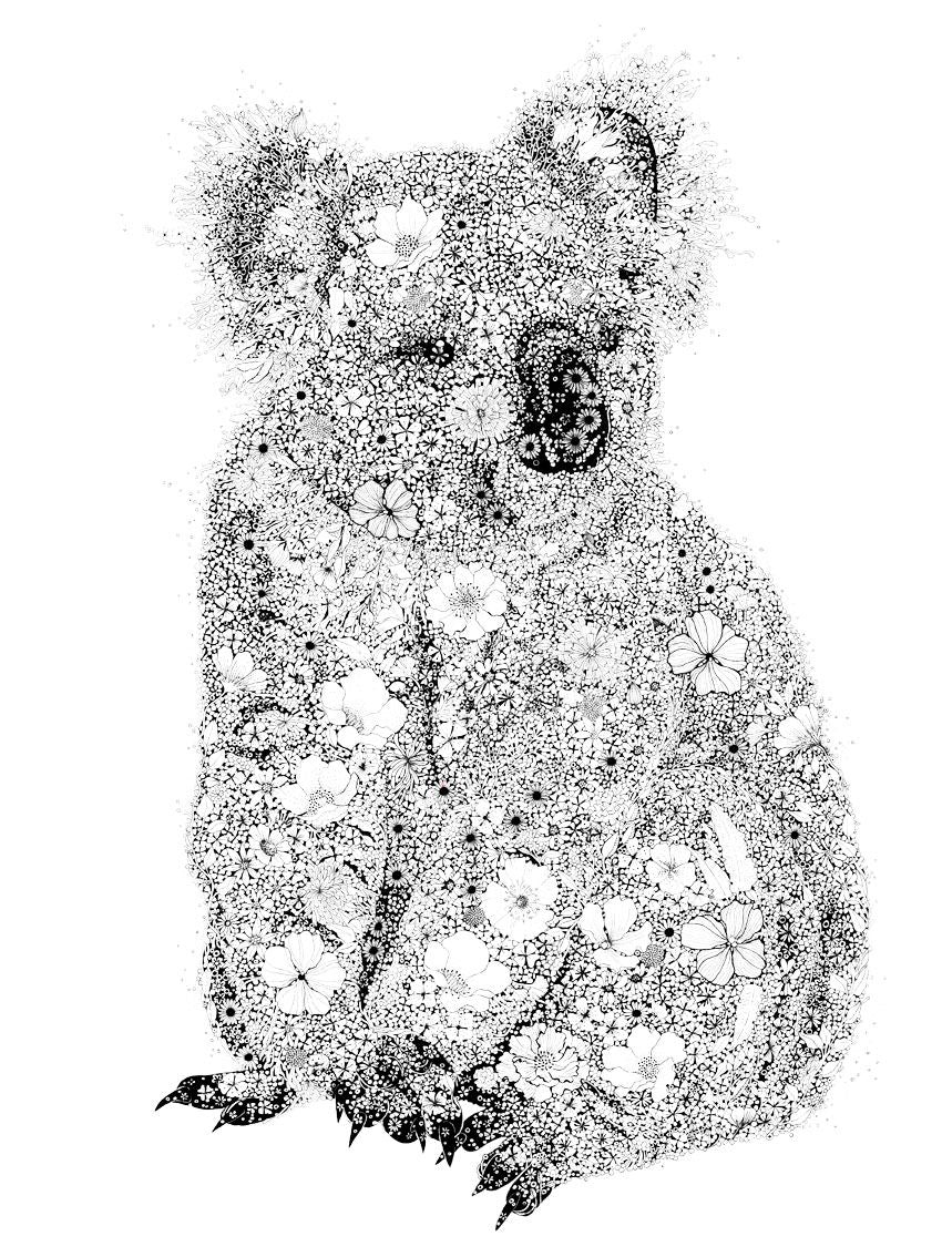 Editions d'art de CAMILLE POLI a pour titre  KOALA style figuratif, graphique dim : CAMILLE POLIprix:90