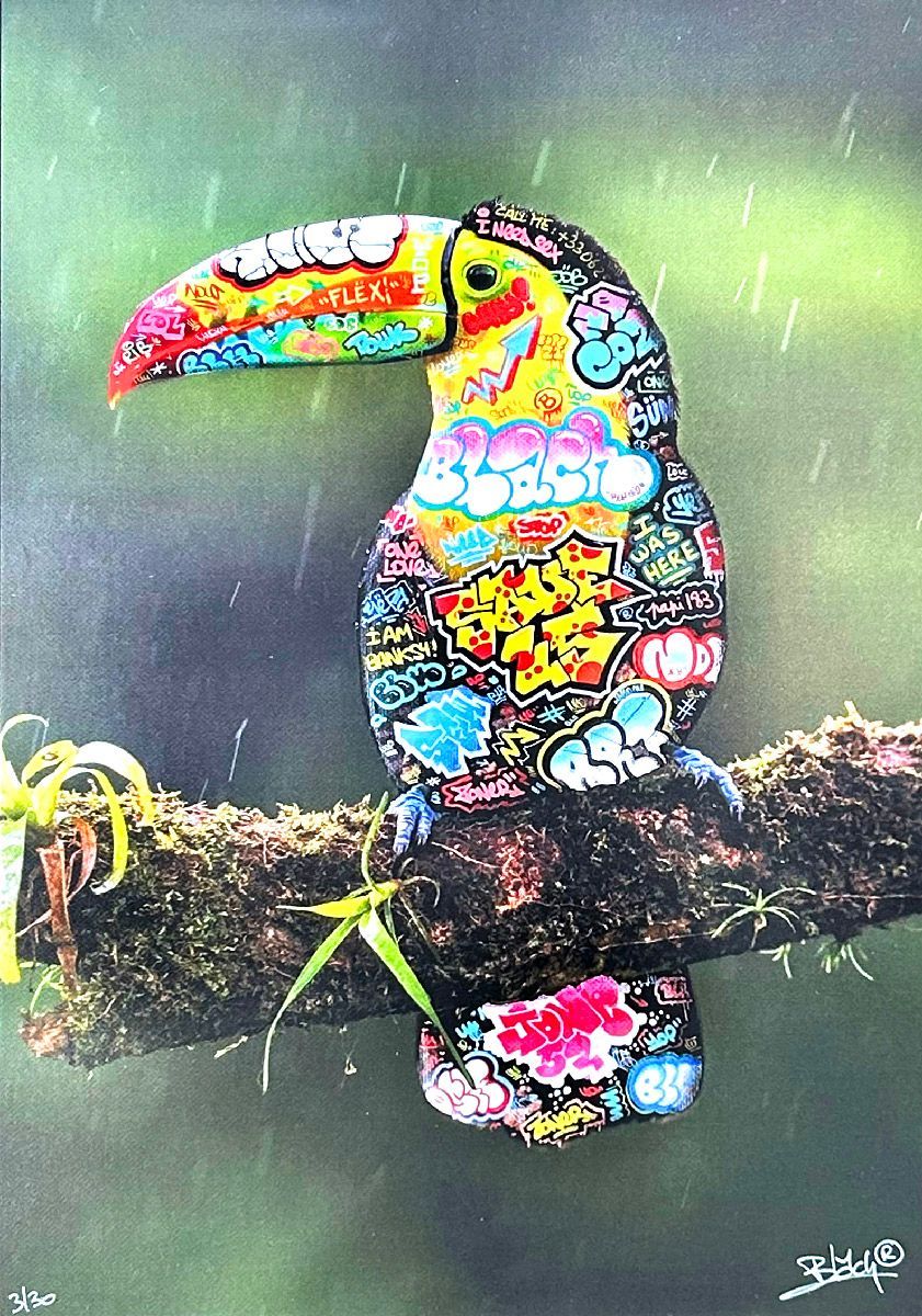 Editions d'art de BLACH a pour titre  Toucan style graffiti, street art dim : BLACHprix:160