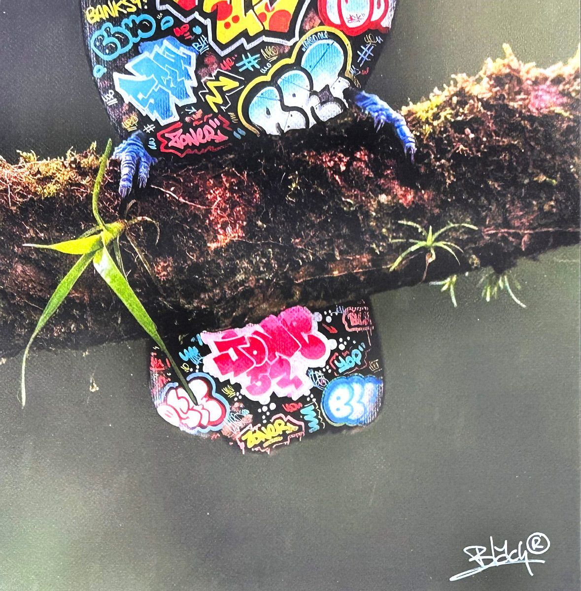 Editions d'art de BLACH a pour titre  Toucan style graffiti, street art dim : BLACHprix:160
