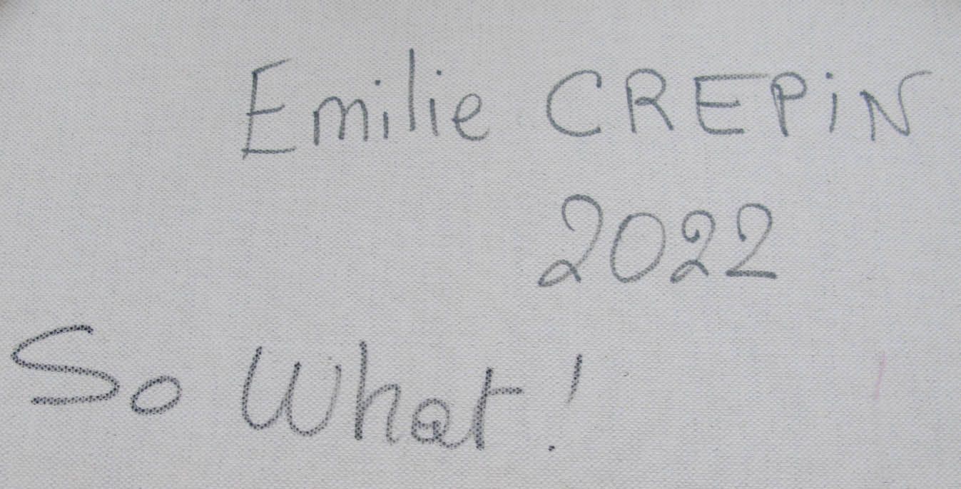 Tableau de EMILIE CREPIN a pour titre  So what ! style figuratif dim : EMILIE CREPINprix:400