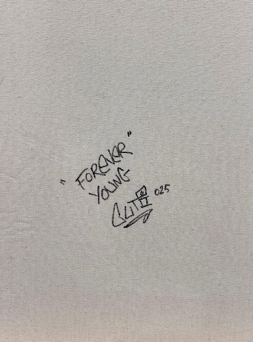 Tableau de GUTI a pour titre  Forever young style street art dim : GUTIprix:250