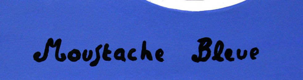 Dessin de MOUSTACHE BLEUE a pour titre  Live slowly style figuratif dim : MOUSTACHE BLEUEprix:120