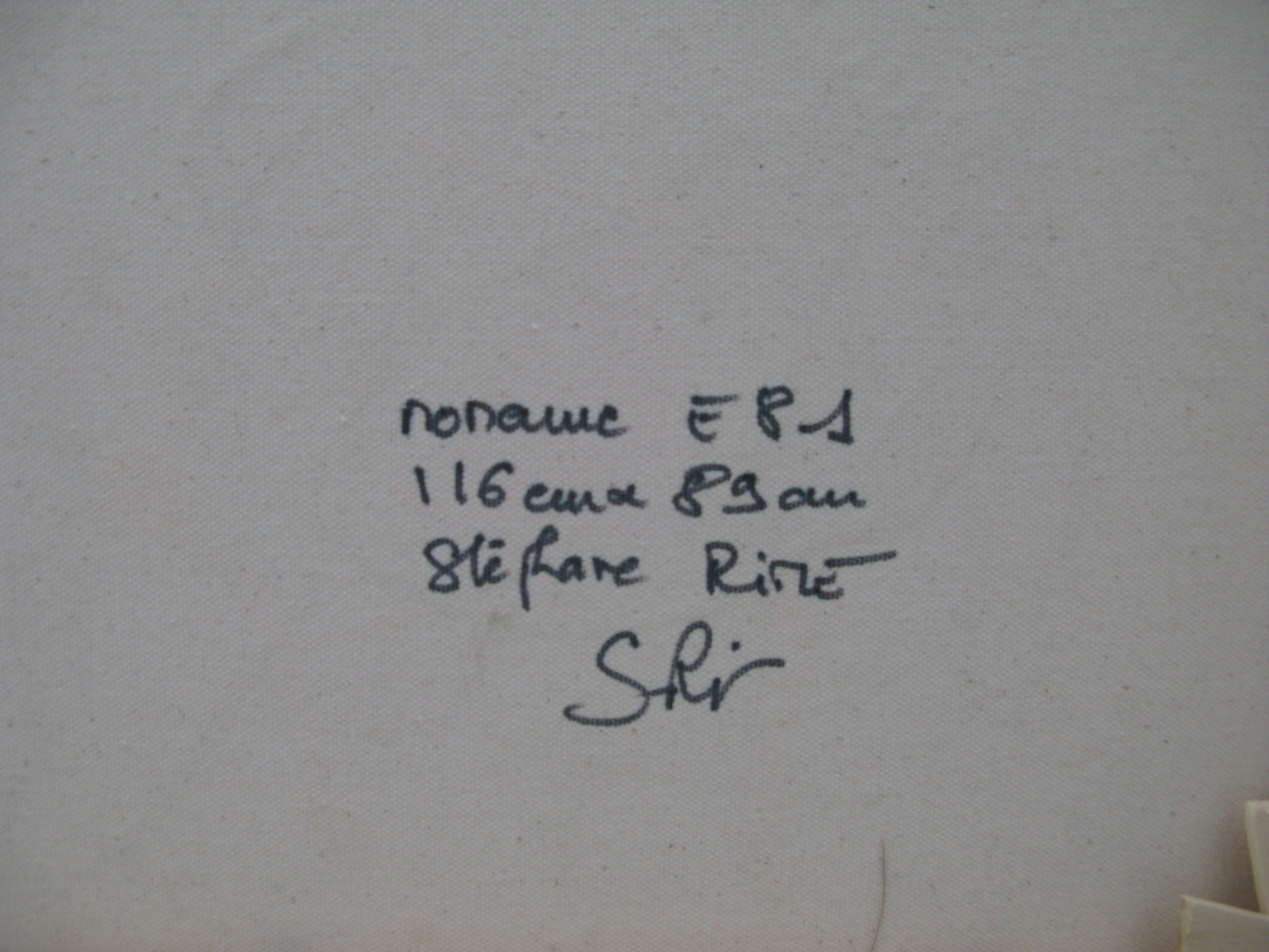 Tableau de STEPHANE RIME a pour titre  NO NAME E81 style abstrait dim : STEPHANE RIMEprix:950