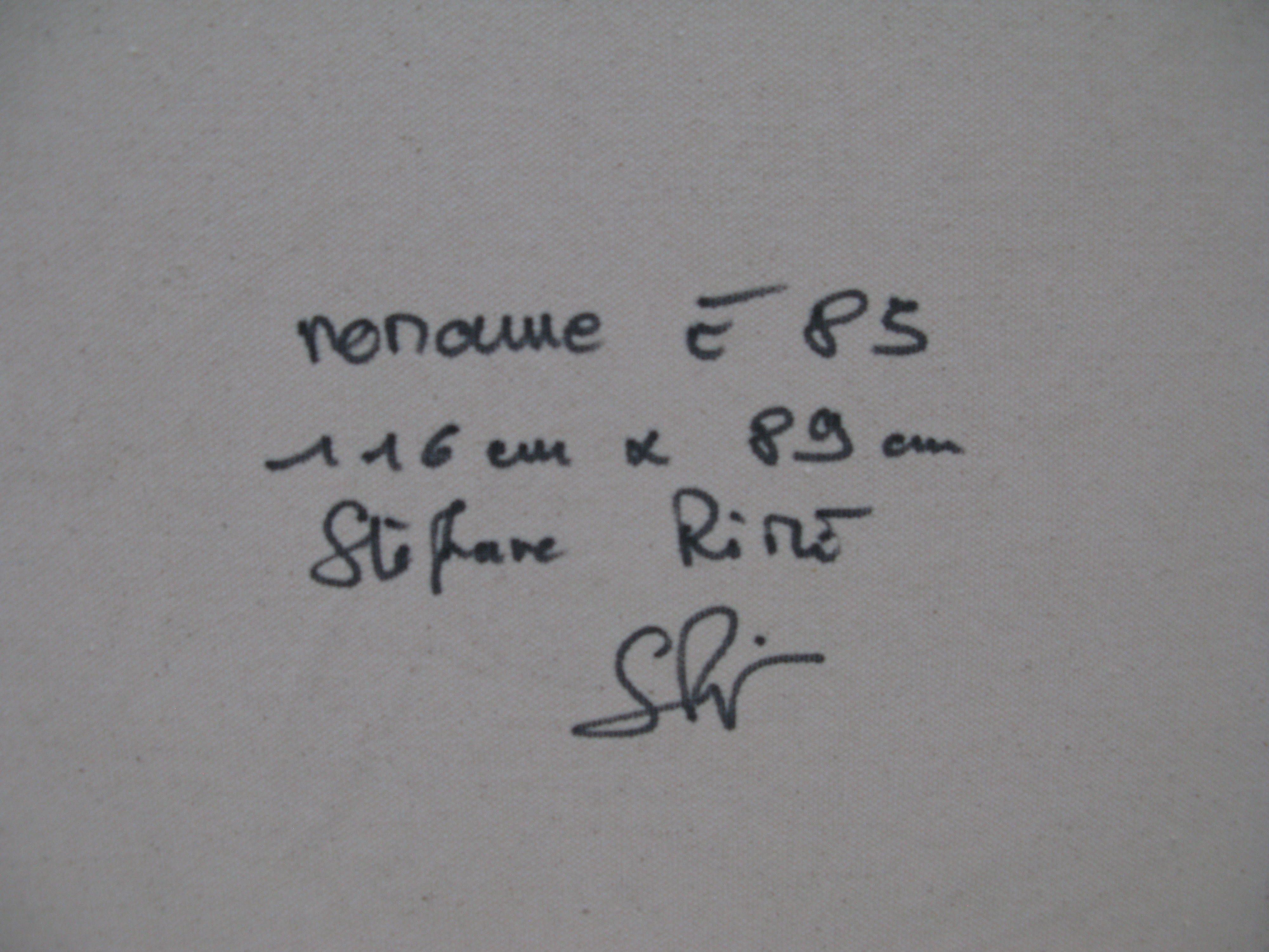Tableau de STEPHANE RIME a pour titre  NO NAME E85 style abstrait dim : STEPHANE RIMEprix:950