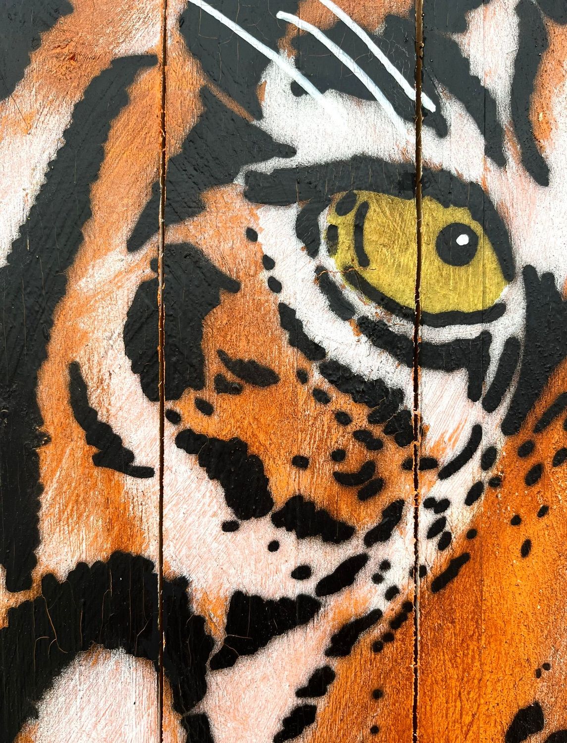 Tableau de MOSKO a pour titre  Focus tigre style street art dim : MOSKOprix:1050