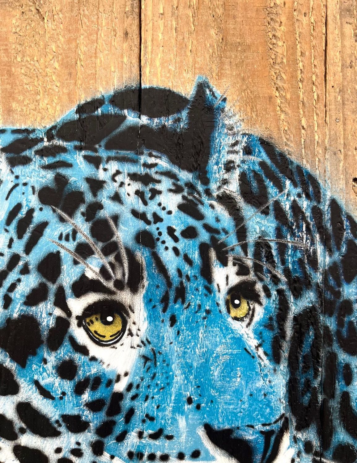 Tableau de MOSKO a pour titre  Jaguar bleu face style street art dim : MOSKOprix:1500
