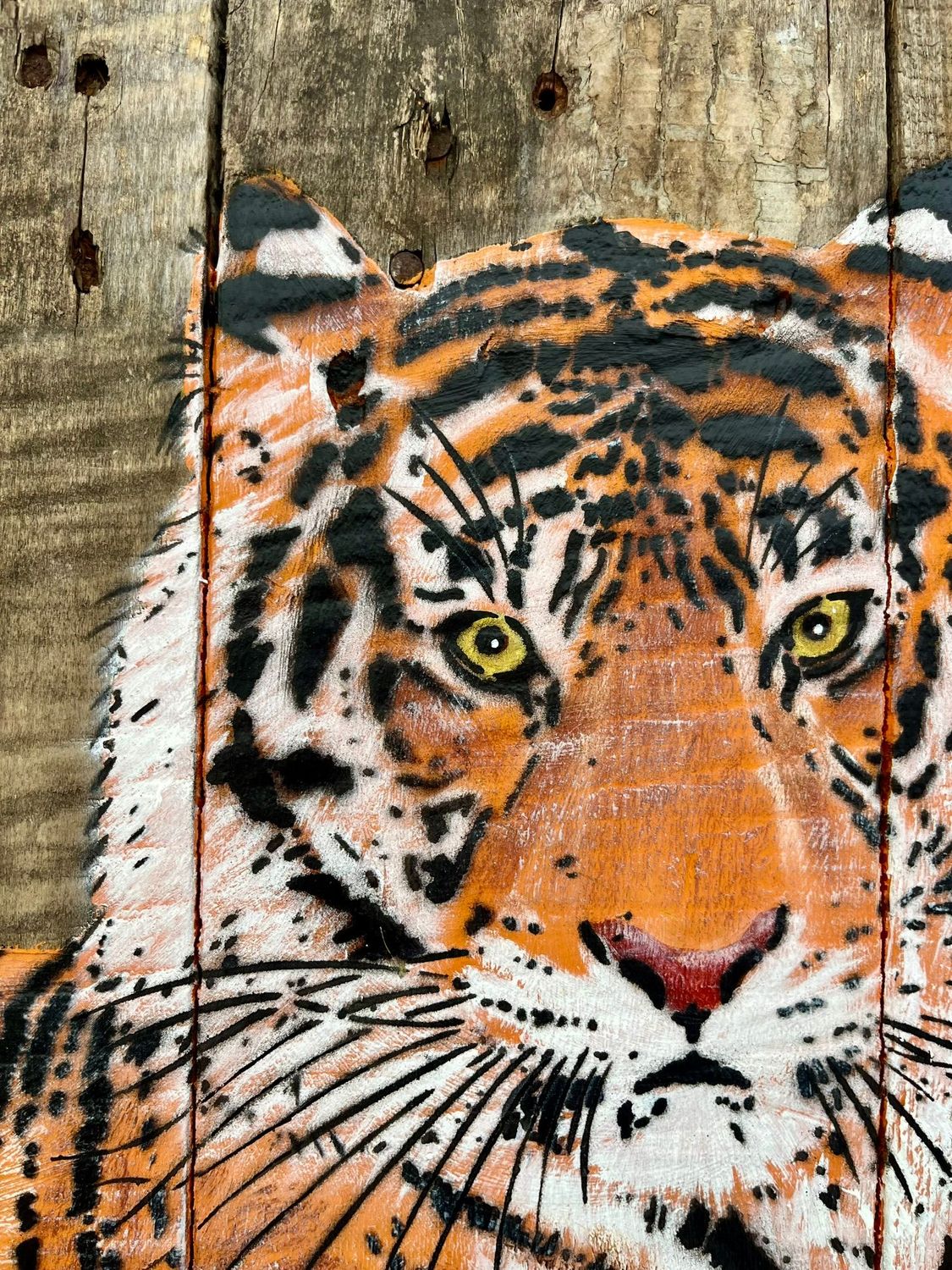 Tableau de MOSKO a pour titre  Tigre allongé style street art dim : MOSKOprix:2000