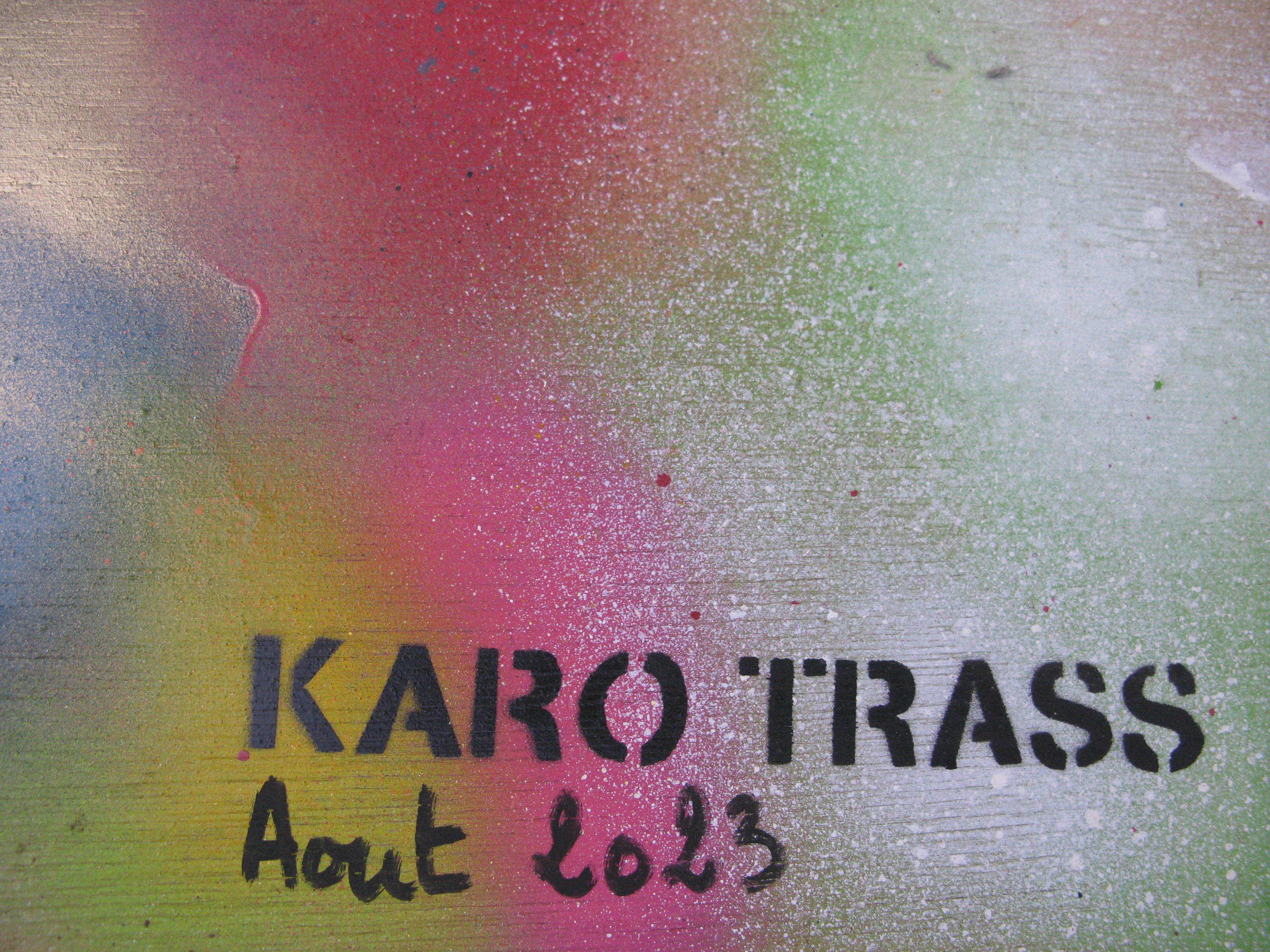 Tableau de KARO TRASS a pour titre  L'essentiel est invisible pour les yeux style street pop art, street art dim : KARO TRASSprix:350