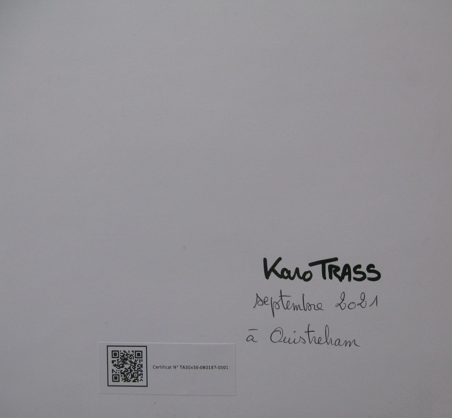 Tableau de KARO TRASS a pour titre  Suzy style street pop art, street art dim : KARO TRASSprix:90