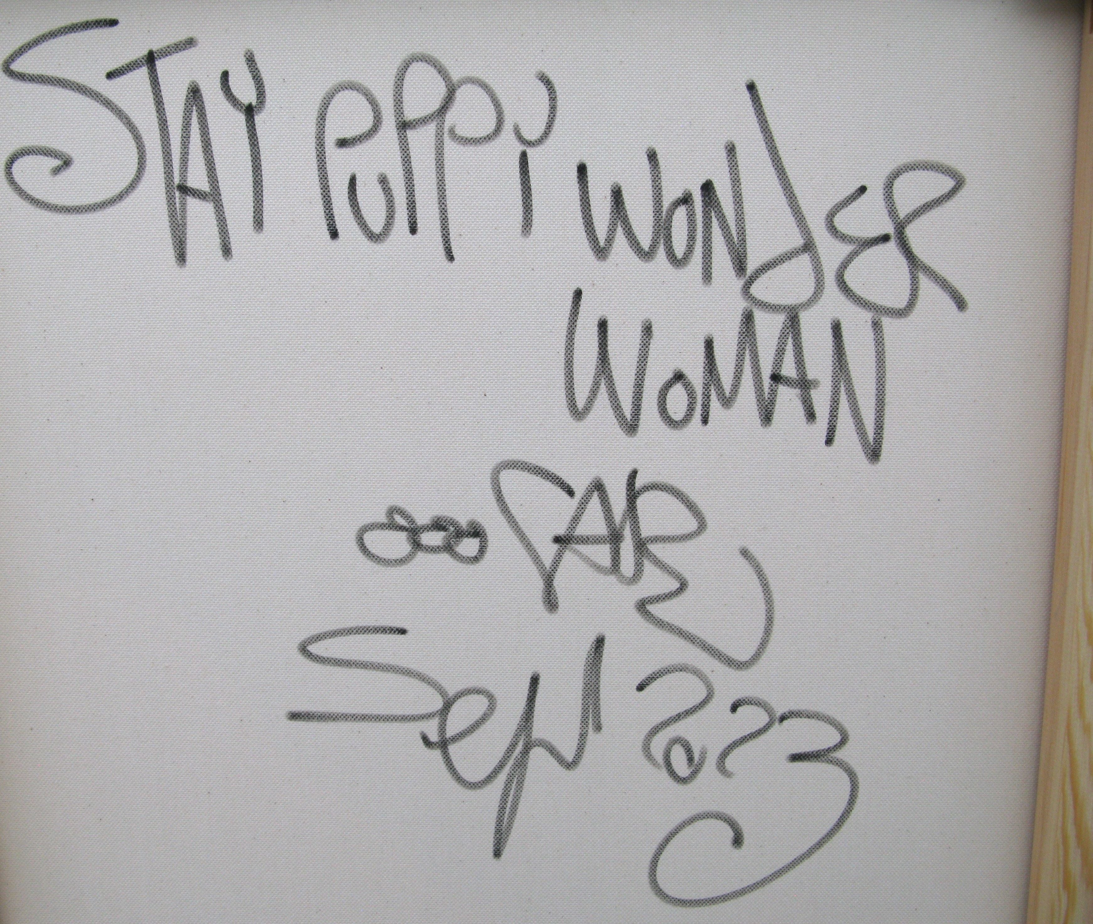 Tableau de RICO SAB a pour titre  Stay puppy wonder woman style street pop art, street art dim : RICO SABprix:1350