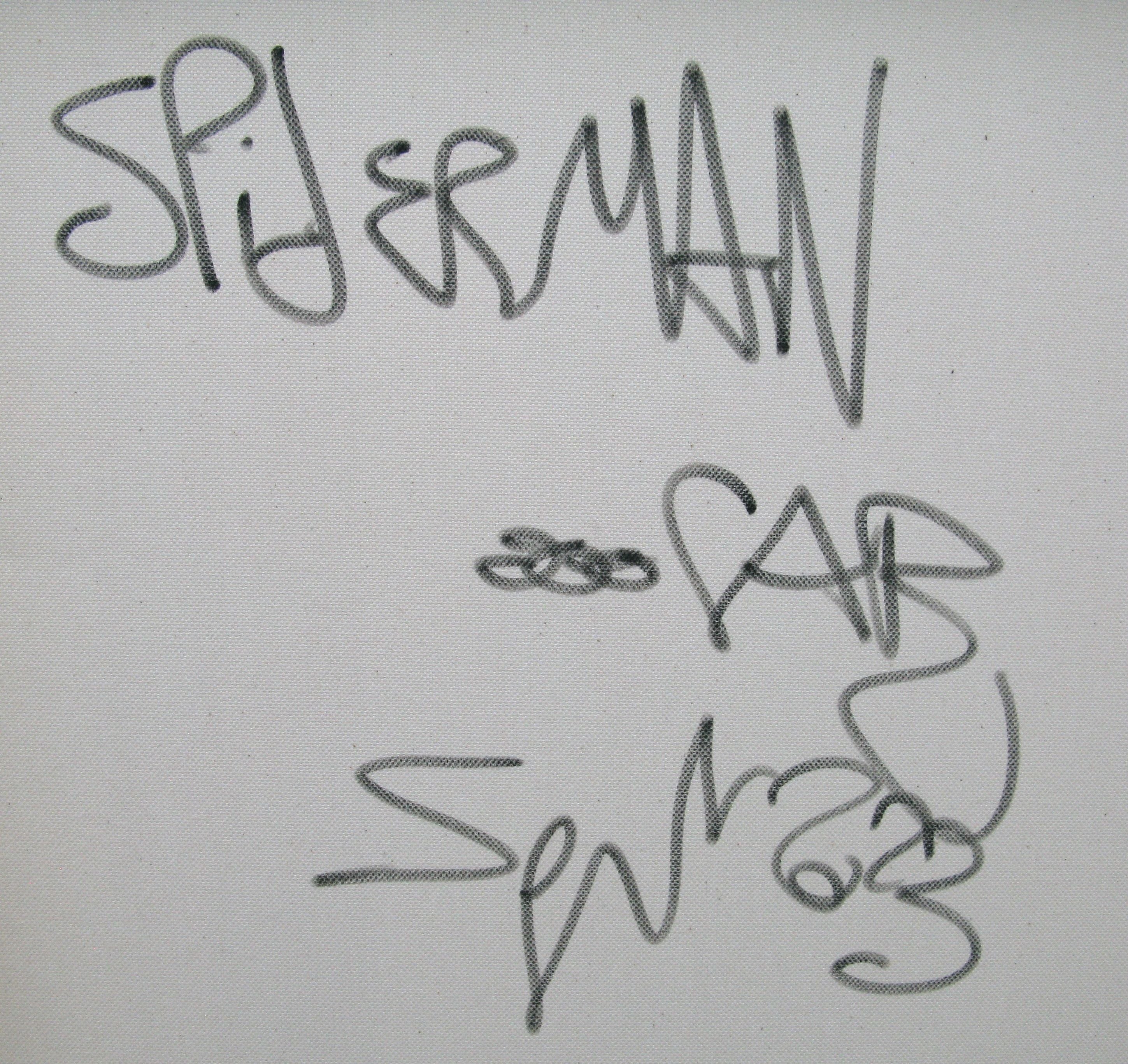 Tableau de RICO SAB a pour titre  Spiderman style street pop art, street art dim : RICO SABprix:1350