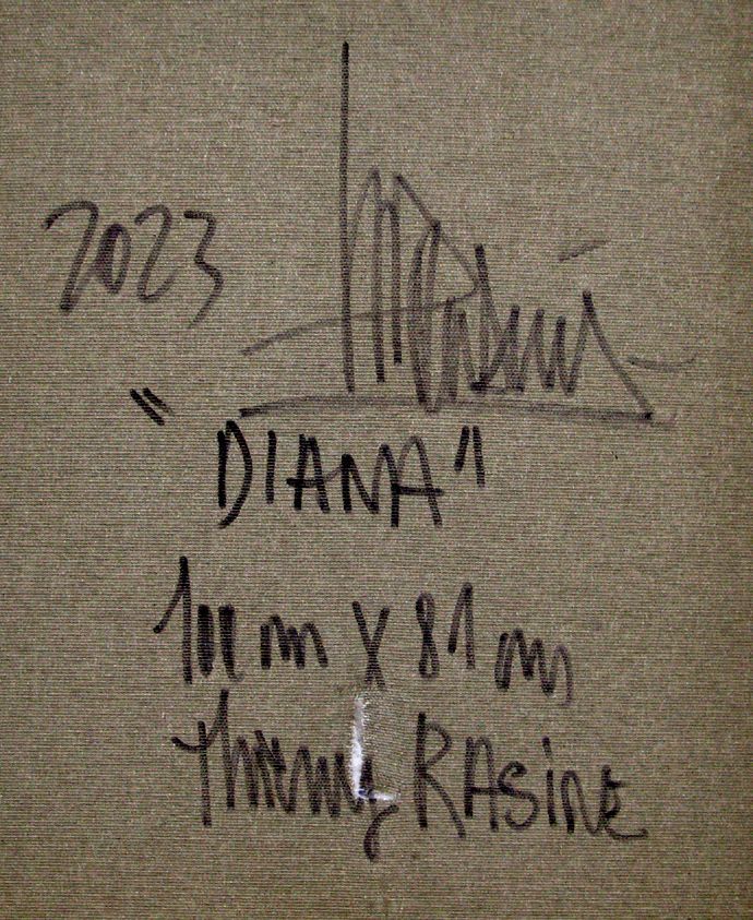 Tableau de THIERRY RASINE a pour titre  Diana style street pop art, street art dim : THIERRY RASINEprix:1400