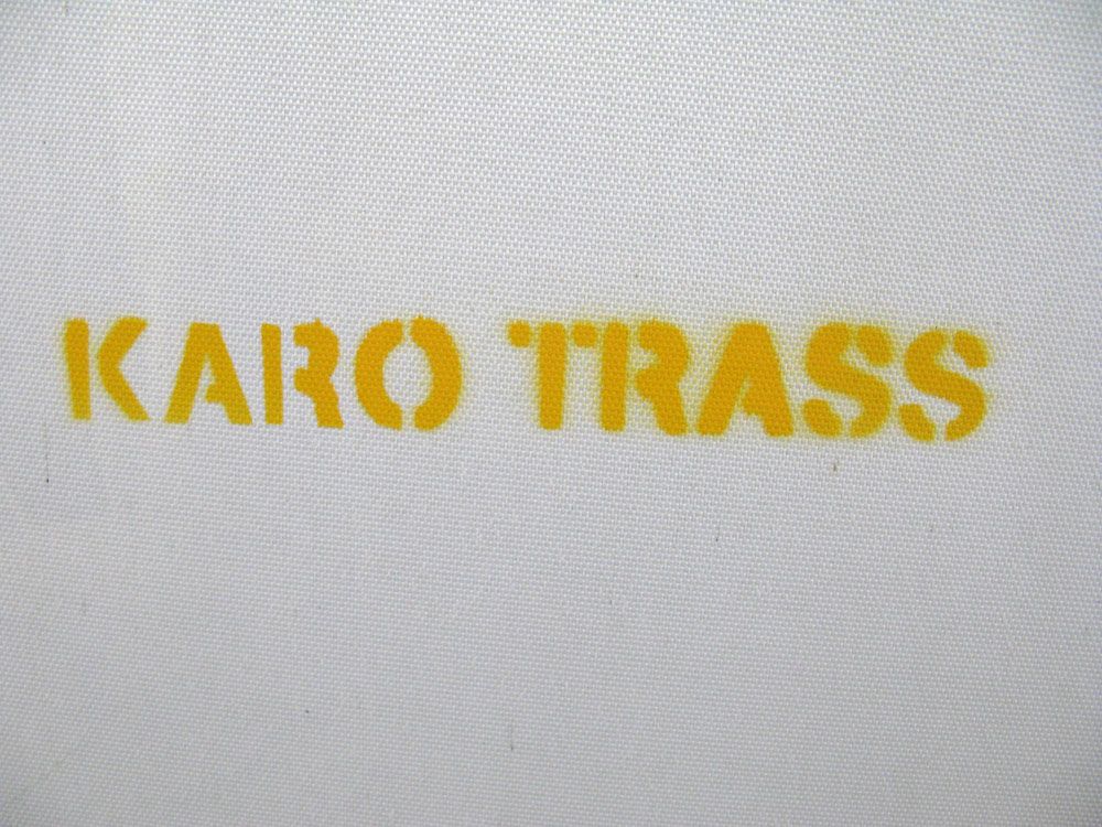 Tableau de KARO TRASS a pour titre  SHANTI style street pop art, street art dim : KARO TRASSprix:300