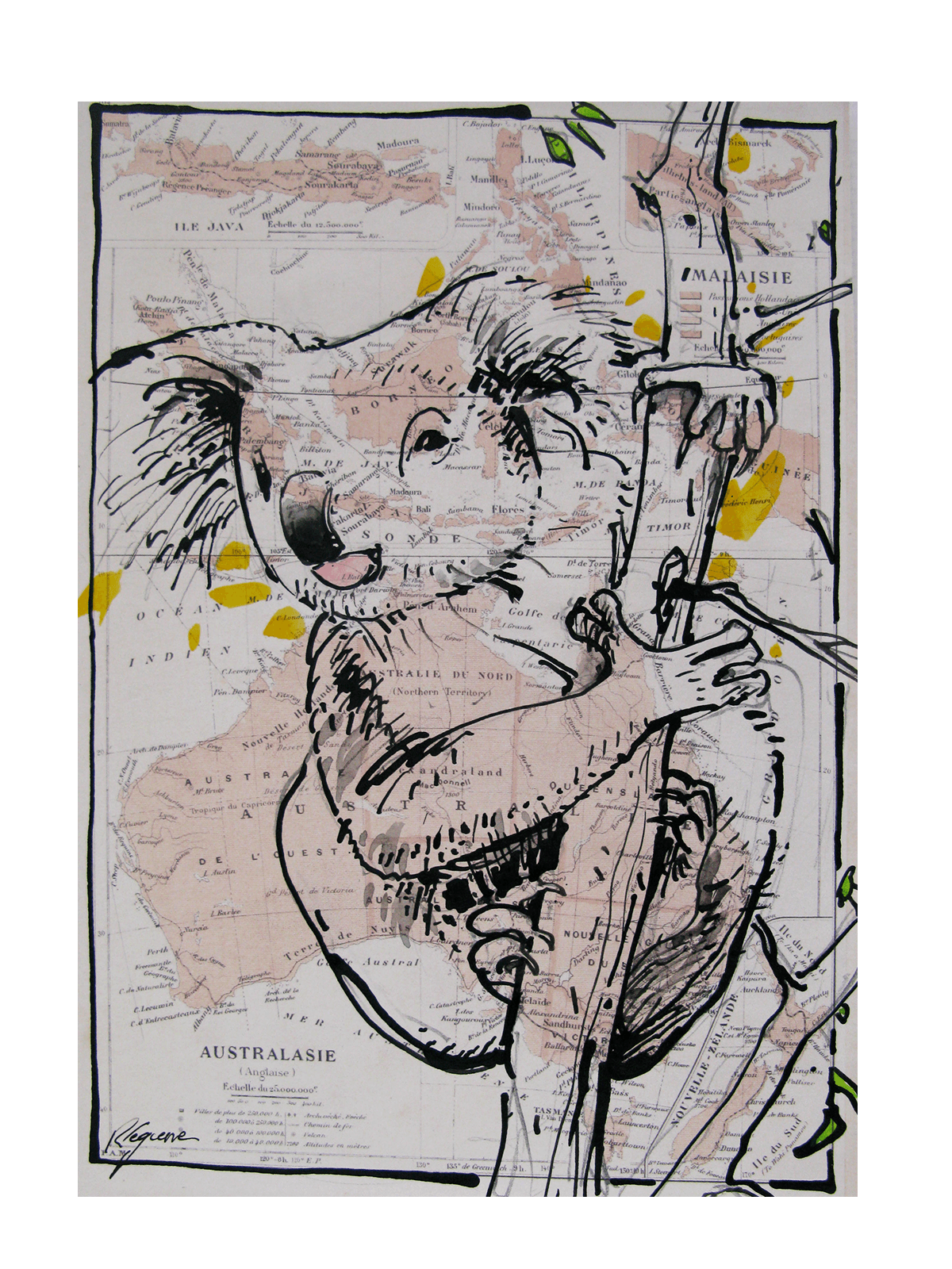 Dessin de CYRIL REGUERRE a pour titre  KOALA style figuratif dim : CYRIL REGUERREprix:90