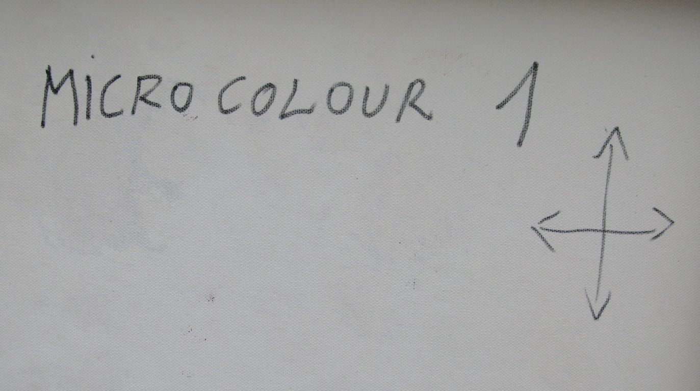 Tableau de JAVIER RAMIREZ a pour titre  MICROCOLOUR 1 style abstrait dim : JAVIER RAMIREZprix:800