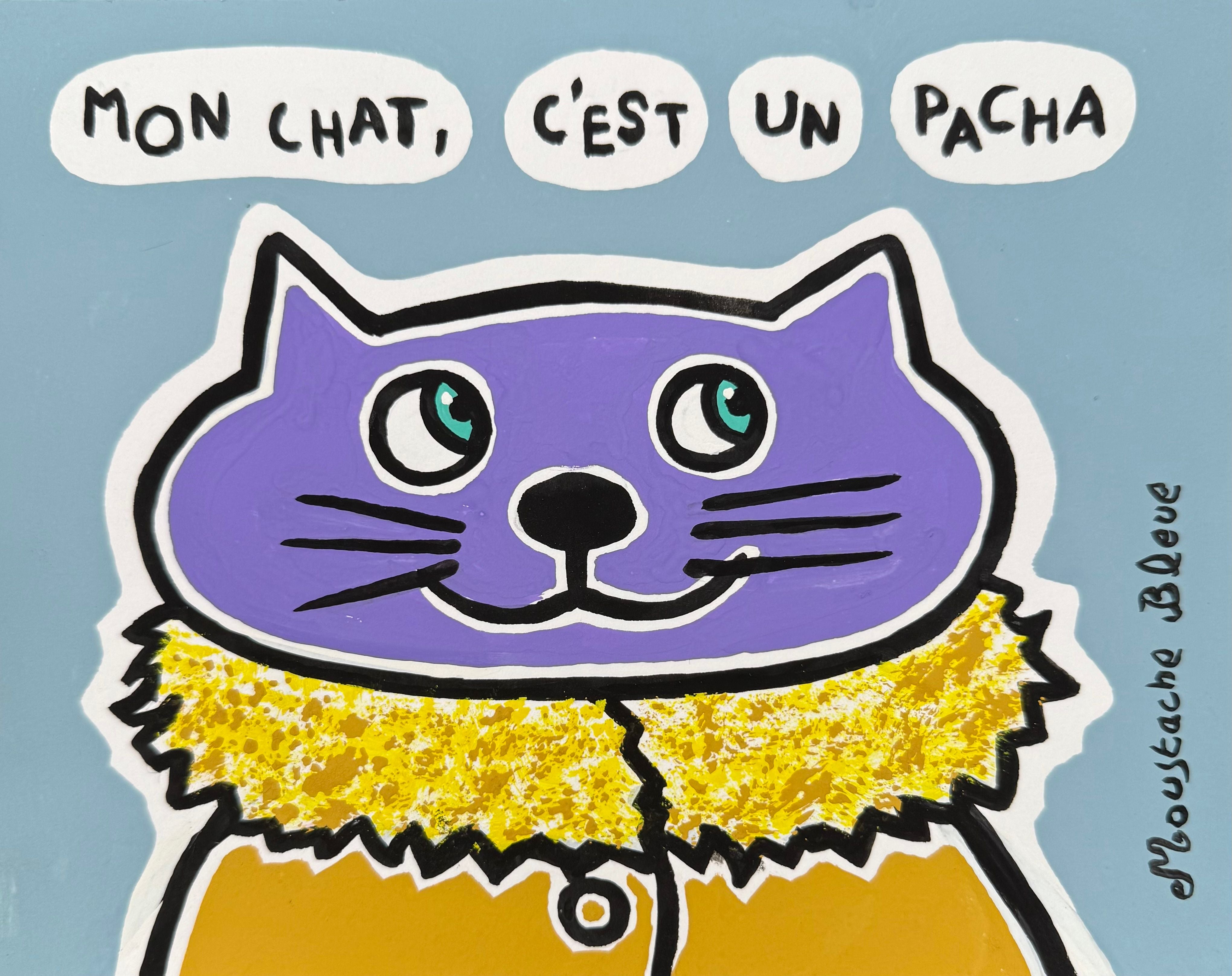 Mon chat, c'est un pacha