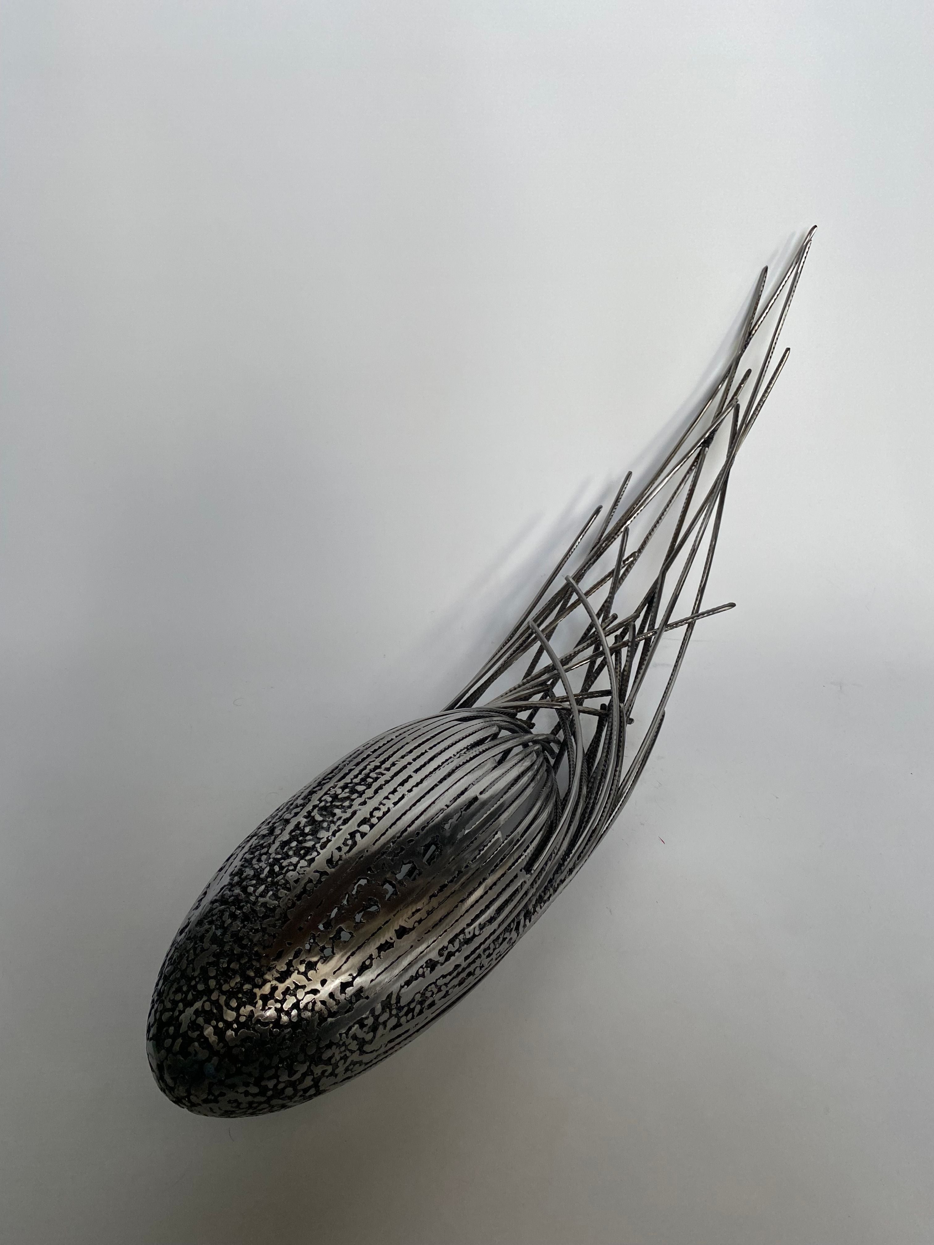 Sculpture de SERGE GUARNIERI a pour titre  OEUF COSMIQUE 20 style no dim : SERGE GUARNIERIprix:1600