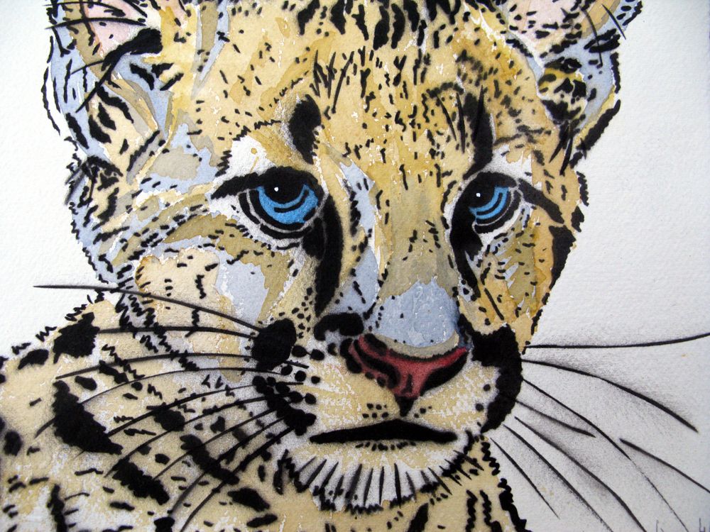 Dessin de MOSKO a pour titre  PETIT TIGRE style figuratif dim : MOSKOprix:330