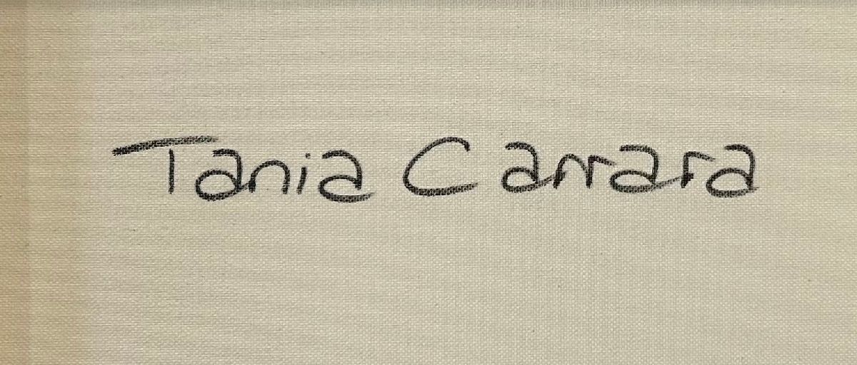 Tableau de TANIA CARRARA a pour titre  Nuances de Provence style abstrait dim : TANIA CARRARAprix:950
