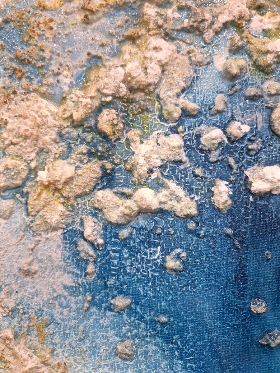 Tableau de Philippe Boliviera a pour titre  Maéva style abstrait dim : Philippe Bolivieraprix:450