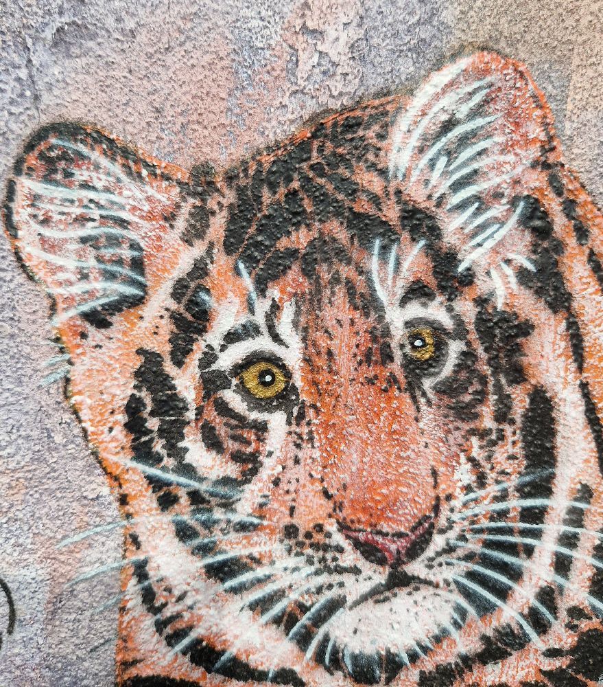 Tableau de MOSKO a pour titre  Bébé tigre style street art dim : MOSKOprix:420