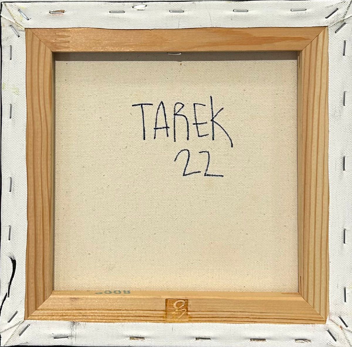 Tableau de TAREK a pour titre  Geometric style street art dim : TAREKprix:250