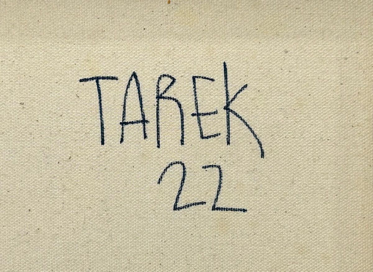 Tableau de TAREK a pour titre  Geometric style street art dim : TAREKprix:250