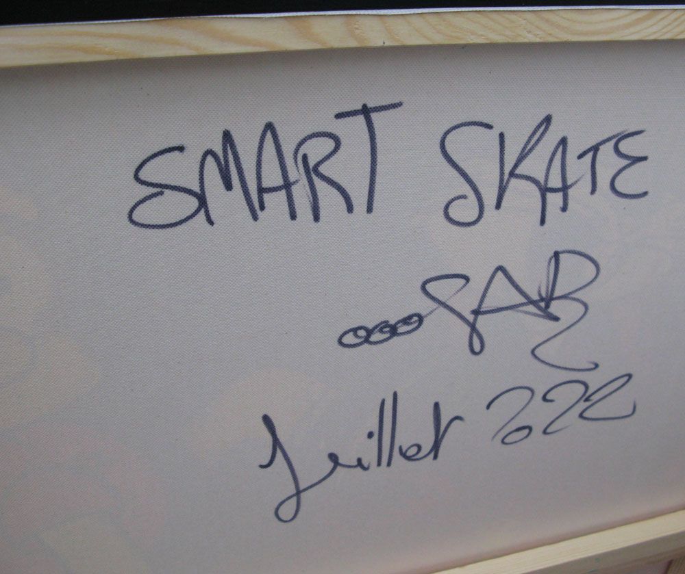 Tableau de RICO SAB a pour titre  SMART SKATE style street pop art, street art dim : RICO SABprix:900