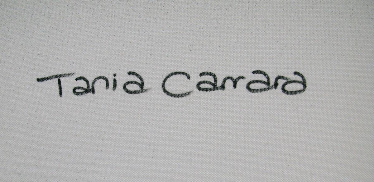Tableau de TANIA CARRARA a pour titre  Nuances Pastels style abstrait dim : TANIA CARRARAprix:950
