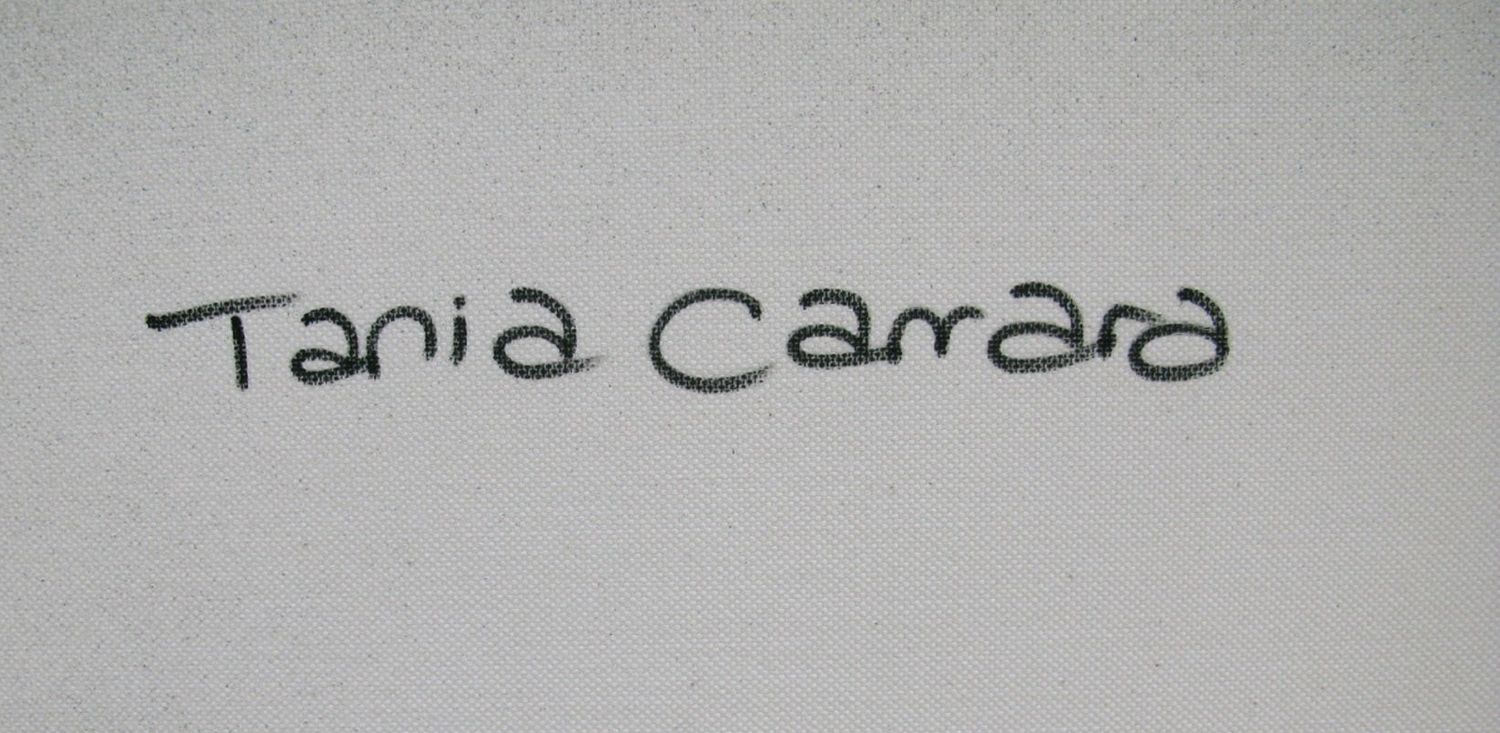 Tableau de TANIA CARRARA a pour titre  Sans-titre Rouge style abstrait dim : TANIA CARRARAprix:1400