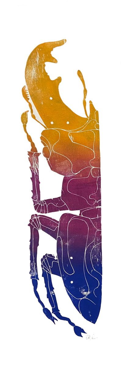 Editions d'art de OSRU a pour titre  SKATE/SCARABEE GAUCHE SUNSET style figuratif dim : OSRUprix:70